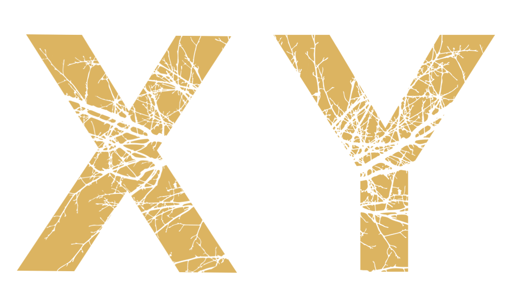 Nootrient X and Y Stack