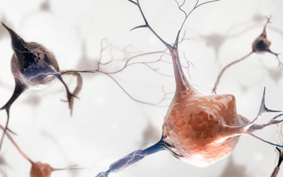 An Introduction to Nootropics