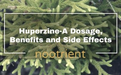 Huperzine-A Dosage, Benefits and Side Effects
