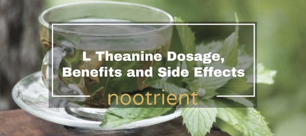 L Theanine Dosage, Benefits and Side Effects