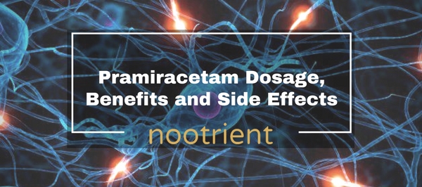Pramiracetam Dosage, Benefits and Side Effects